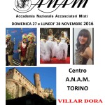 60° Campionato ITALIANO A.N.A.M. di ACCONCIATURA Maschile e Femminile (Torino – 27/28 novembre 2016)!